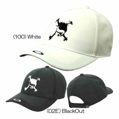 オークリー（Oakley） Skull Switch Cap 24.0 FOS901701 メンズキャップ 春夏